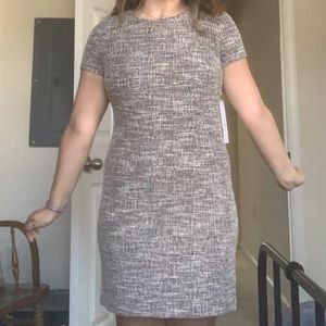Calvin Klein Fitted Dress